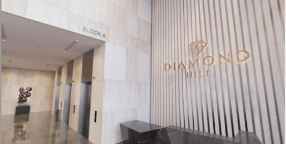 Ra mắt CĂN HỘ MẪU tại dự án cao cấp nhất tại Bắc Giang - BV Diamond Hill