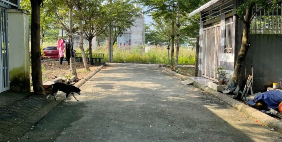 Vợ chông chuyển nhà chính chủ cần bán gấp đất 300m và 14p trọ kinh doanh giá rẻ