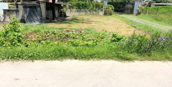 Bán Đất Đường MT rộng 12m -1 tỷ 95, 1420m2, TÂN NGHĨA, HÀM TÂN, BÌNH THUẬN