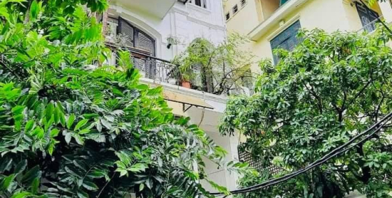 Bán Biệt Thự  phố Đặng Thai Mai 146m mt 6m giá nhỉnh 30 tỷ oto vào nhà gần hồ