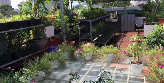 Bán gấp Khu F361 An Dương giá 8,8 tỷ, 70m2, MT 6,2m, Oto tránh