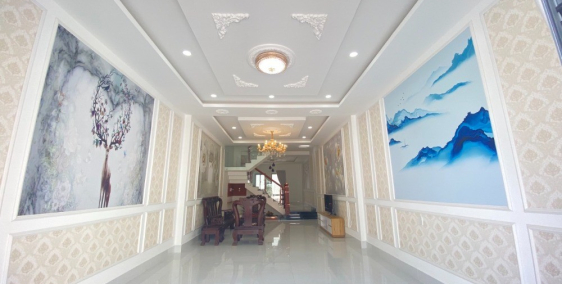 Thổ cư 100% 1 trệt 2 lầu Ngộp ngân hàng giá cực tốt