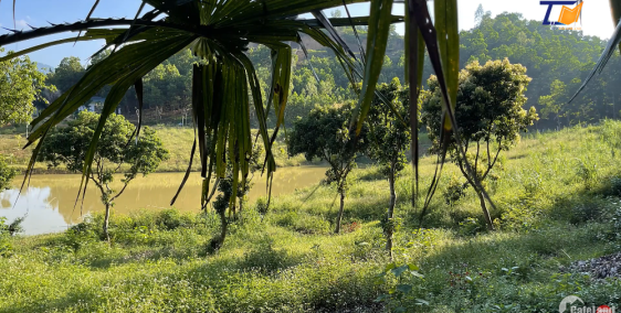 Đẹp Số 1 Yên Bài Ba Vì Lô đất 4983m2 Giá Chỉ Hơn 2tr/1m2 Liên Hệ A Tiến