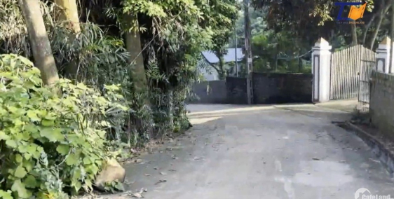 Siêu Phẩm Đất Vân Hòa Ba Vì 11000m2 View cánh đồng Có Sẵn ao LH: A Tiến