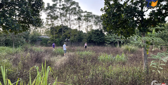 Bán Ngay Lô đất Đẹp Mê ly Giá thành rẻ 3100m2 Tại Yên Bài Ba Vì