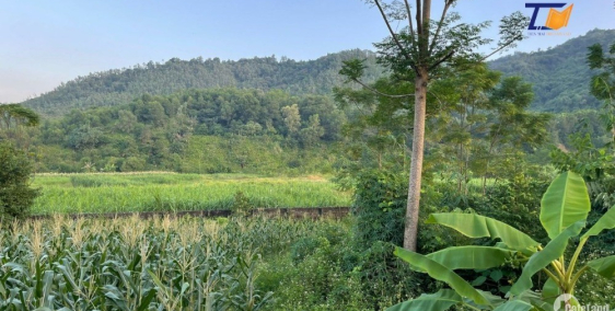 Siêu chất lô đất 3500m2 Yên Bài Ba Vì Giá chỉ Hơn 2tr/1m2 LH: 0586.22.9999