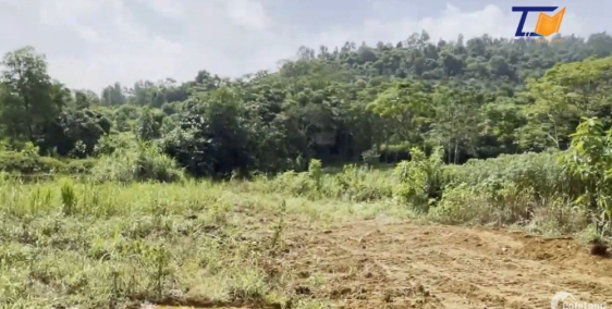 Mua Ngay kẻo lỡ lô đất 1001m2 Yên Bài Ba Vì Hà Nội Giá cả Liên Hệ A Tiến