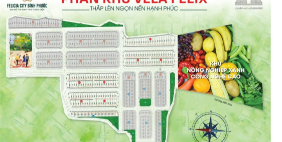 Felicia City Bình Phước - đại đô thị sinh thái