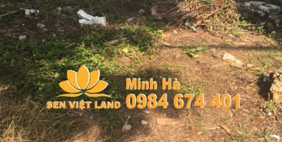 Bán đất mặt tiền đường tỉnh 725, thôn 4 Lộc Tân, gần ngã 5 dambri TP Bảo Lộc, Lâ