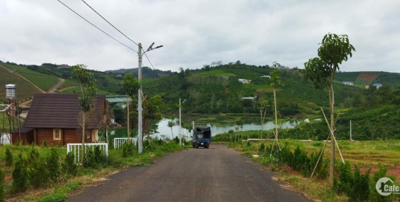 cần ra lô đất mặt tiền đường nhựa 10*26m2