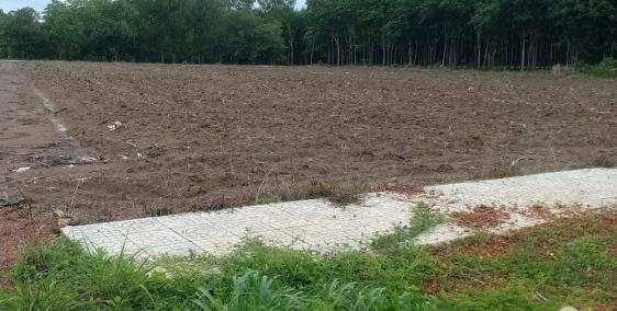 Bán GẤP đất 2 MT Vành Đai 4 Bến Cát, BD giá 4 tỷ 9