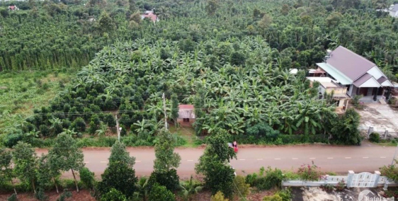 Bán lô đất vuông vắn (50 x 60) trục chính đường Kim Long – Quảng Thành