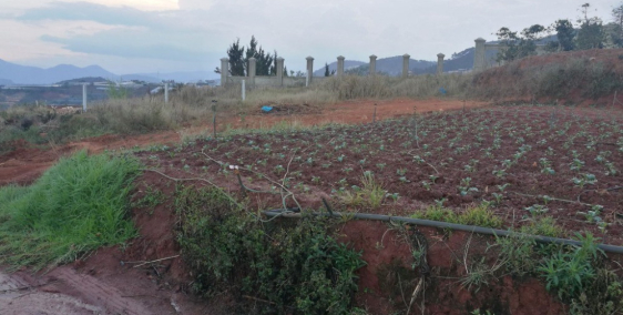 Bán Đất biệt thự Xuân Thọ, Đà Lạt 3 tỷ 6 - 200m