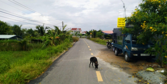 Thửa đất gia đình tại Phước Hội, huyện Đất Đỏ