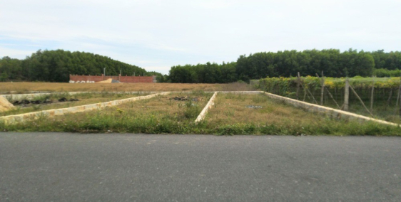 Đất cách biển 2km tại Phước Hội, huyện Đất Đỏ