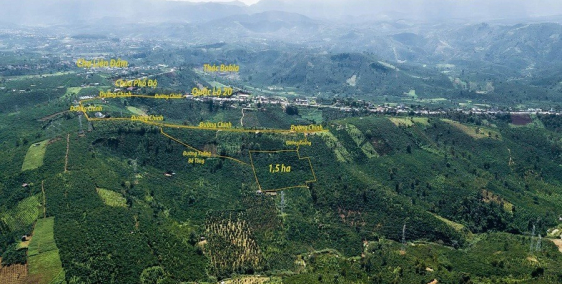 Chính Chủ Cần Bán Lô Đất Đẹp Vị Trí Đắc Địa Tại Thôn 9, Xã Liên Đầm, Di Linh, LĐ