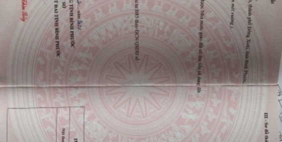 Đất chính chủ cần bán tích 150m2 full thổ cư mặt tiền 13m2 gần hồ sinh thái