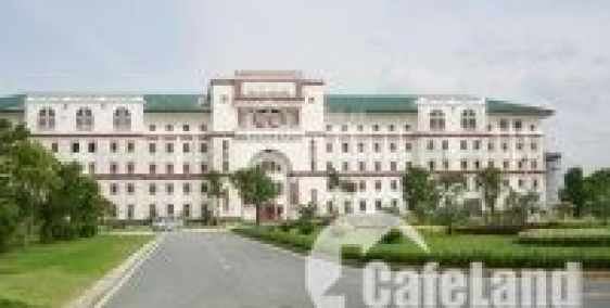 BÁN GẤP ĐẤT ĐỨC HÒA GẦN TRƯỜNG ĐẠI HỌC TÂN TẠO, FULL THỔ CƯ, CÓ SỔ HỒNG RIÊNG