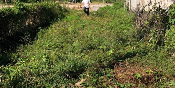 Bán đất nền mặt tiền đường Trần Hưng Đạo, trung tâm thị xã Đức Phổ, Quãng Ngãi