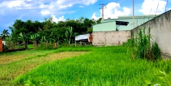 Đất Đẹp 1560m2, Đường MT rộng 16 m -2 tỷ 25, Tân Nghĩa, Hàm Tân, Bình Thuận