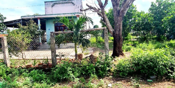 1 tỷ 35 Bán Đất 2 MT 1120m2, 200TC,Hàm Tân, Bình Thuận - 0931144449