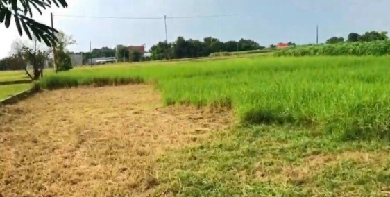 HOT – Bán Đất MT 24x53m, 1 tỷ 9, KCN Tân Xuân, Hàm Tân, Bình Thuận - 0933444019