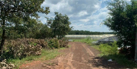 Cần bán đất chính chủ ngay đường DT 757 ,250m2 (thổ cư 100m2) SHR bao sang tên