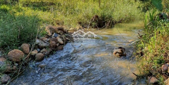 XÃ GẤP ĐẤT HỚN QUẢN CÓ THỔ CƯ BÌNH PHƯỚC SỎ SẴN