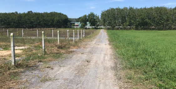 Bán lô đất 1200m2 nằm ngay khu dân dư, Trục đường chính Nguyễn Thị Rành .Giá 1.6