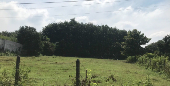 Đất mặt tiền đường BASA 12m, DT 500m2, sổ riêng, giá 1, 3 tỷ Phước Hiệp, Củ Chi