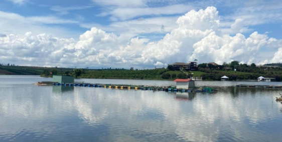 Đất phân lô Đà Lạt View Hồ Phúc Thọ, Lâm Hà, Lâm Đồng gần 2 Ha chỉ nhỉnh 9 tỷ.