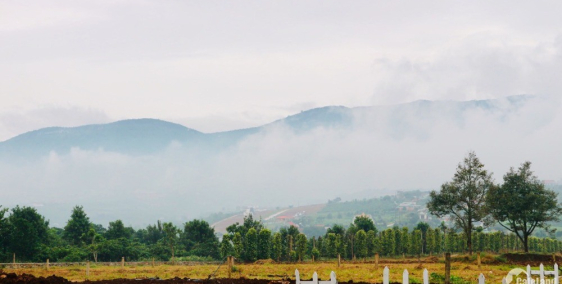 Bán đất nền nghỉ dưỡng Eden Hills Đà Lạt có SHR và tặng vuờn rau, hỗ trợ chăm só