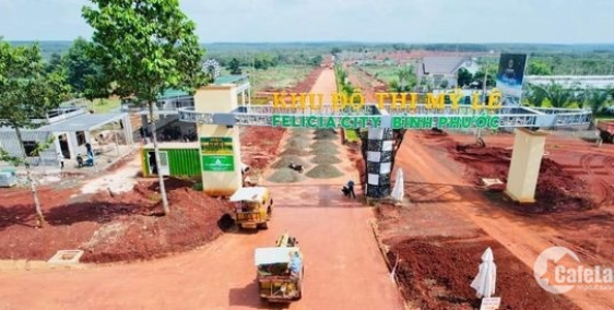 ĐẠI ĐÔ THỊ SINH THÁI TOÀN DIỆN FELICIA CITY - “VIÊN KIM CƯƠNG” QUÝ GIÁ