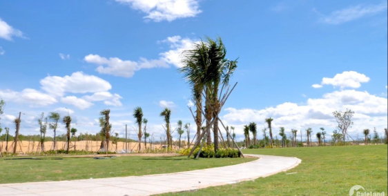 Bán đất nền Nhơn Hội New City đã có sổ giá từ 1.3tỷ, gần biển. Cam kết lợi nhuận