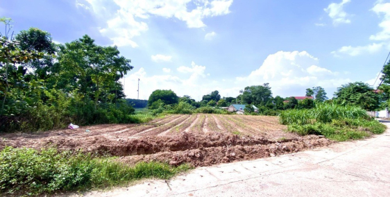 Đất Sổ đỏ Hà Nội  giá 2,2tr diện tích 1500m lãi vốn đến 30%