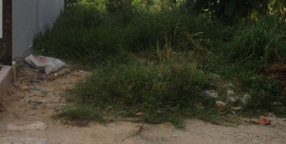 Bán Lô Đất 176m2 Mặt Tiền Đường Đỗ Trình Thoại TP. Tân An _ 1.5 tỷ