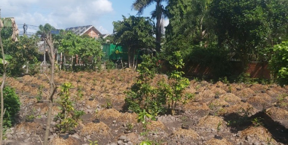 Bán Lô  Đất 2800m2 Mặt Tiền Quốc Lộ N2 _ 4.5 tỷ