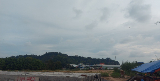 Đất nền view sông gần chợ, tiềm năng đầu tư cao