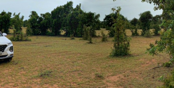 Bán 4980m2 đất vườn bình thuận cách đường và dân cư 700m chỉ 597tr Lh 0938677909