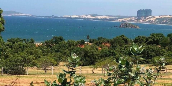 Bán 11,915m2 đất chợ lầu view điện gió, cách biển 3.5km chỉ 95k/m2 Lh 0385230667