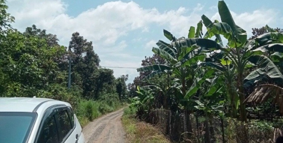 Cần tiền bán gấp lô đất vườn mít 1005m2, giá 350triệu ở Phú Lợi, Định Quán. LH: