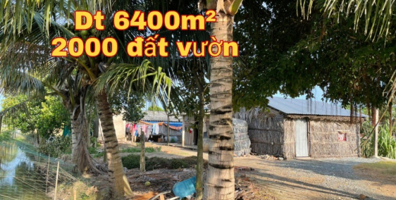 Đất vườn Tân Thành, gò Công Đông TG