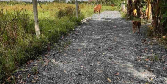 Đất củ chi giá rẻ 1000m2 giá chỉ 980tr xã nhuận đức, sổ hồng riêng.