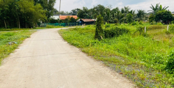 còn 2 lô đất đẹp 566m2 2ty050 SHR - xã Phước Hiệp, Củ Chi