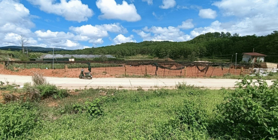 1000m2 đất nông nghiệp xã Đạ Nhim Lạc Dương