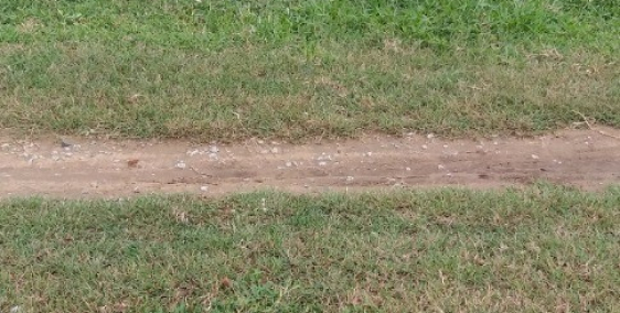 Chính chủ cần bán đất tại thành phố Phan Rang- Tháp Chàm