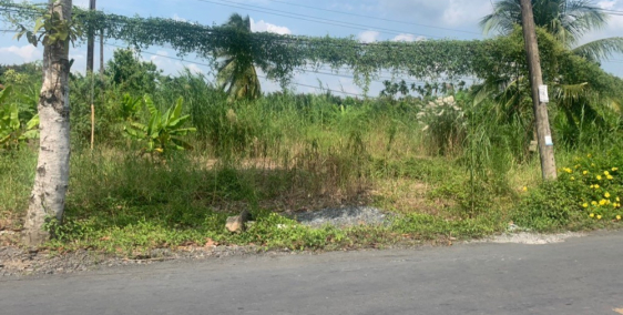 Bán mặt tiền Tỉnh lộ 926 cách chợ Trường Long 500m