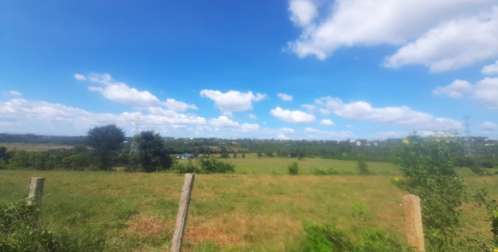 BÁN ĐẤT RẪY, XÃ IA KENH, TP PLEIKU, GIA LAI, DT: 5.1 HEC, ( ĐẤT TCLN)