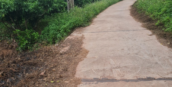 Bán Vườn Lục ngạn, Bắc Giang 15 nghìn m2. Ôtô Chạy. Giá 3.5 tỷ