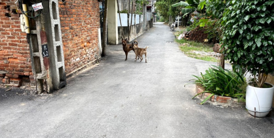 Bán đất Làng Phúc Lộc - Uy Nỗ - Đông Anh, gần sông Hoàng Giang, quy hoạch